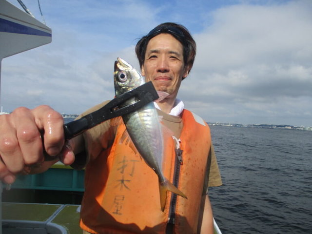 アジ(マアジ)