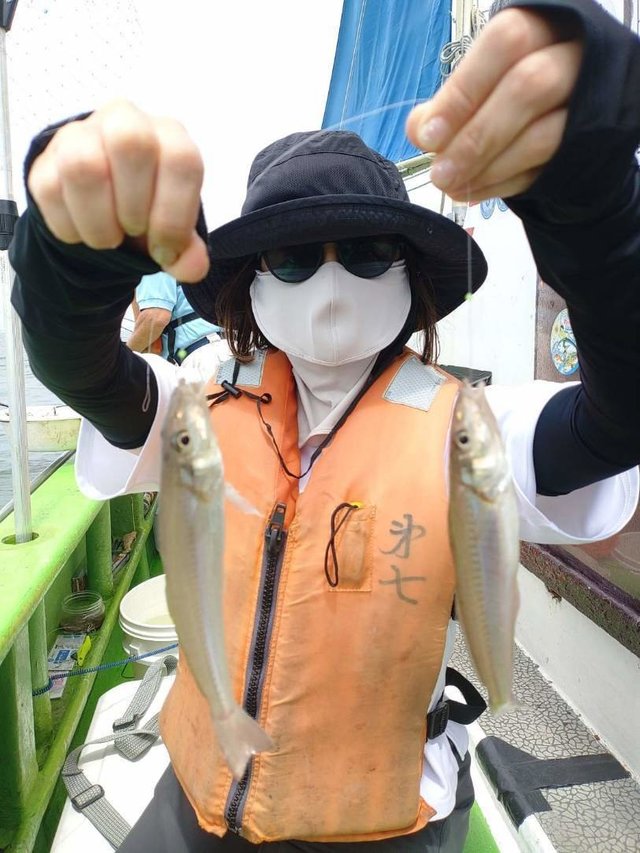 シロギス