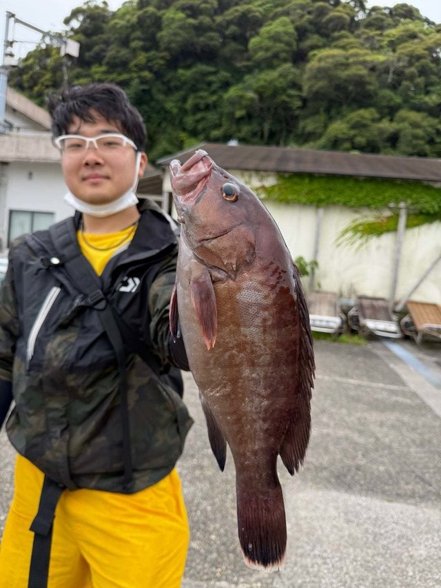 マハタ