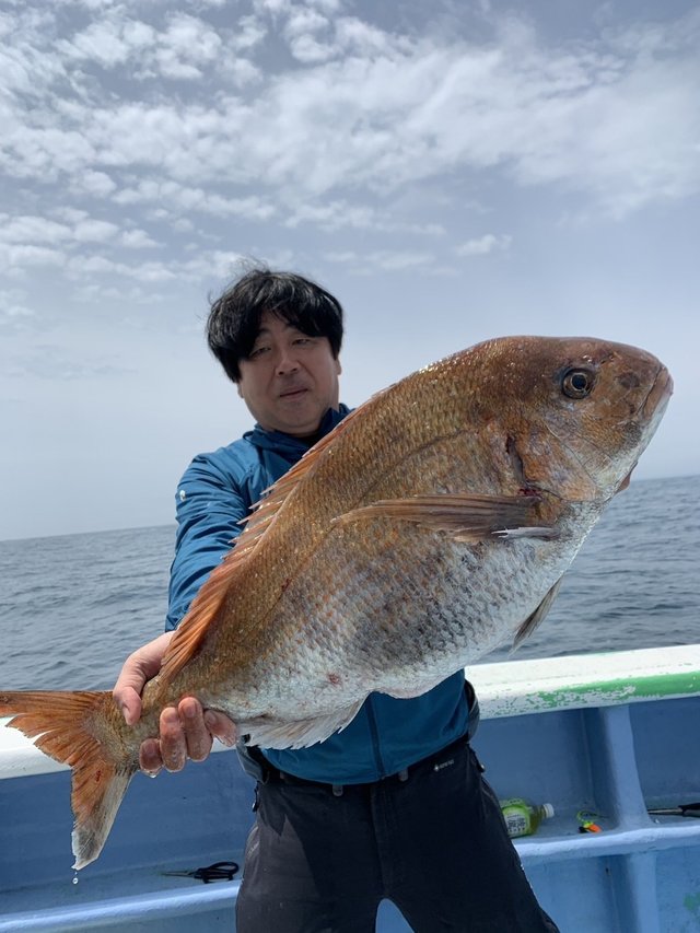 マダイ