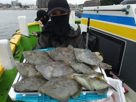カワハギ