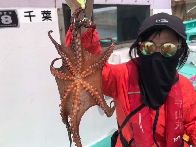 タコ(マダコ)