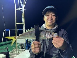 アジ(マアジ)