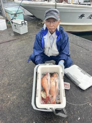 マダイ