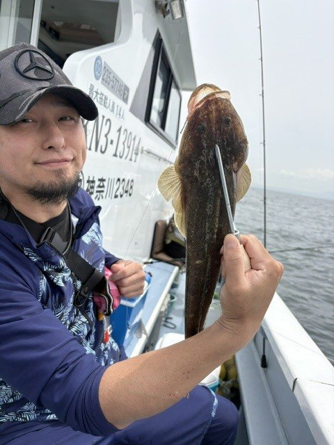 マゴチ