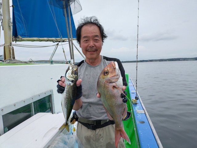 マダイ・アジ(マアジ)