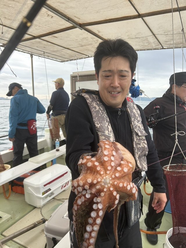 マダコ