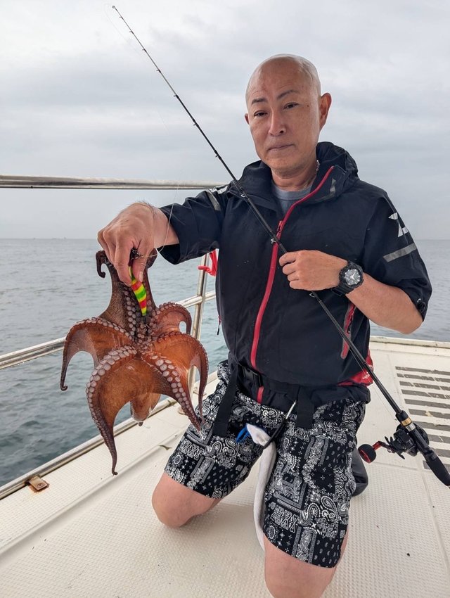 マダコ