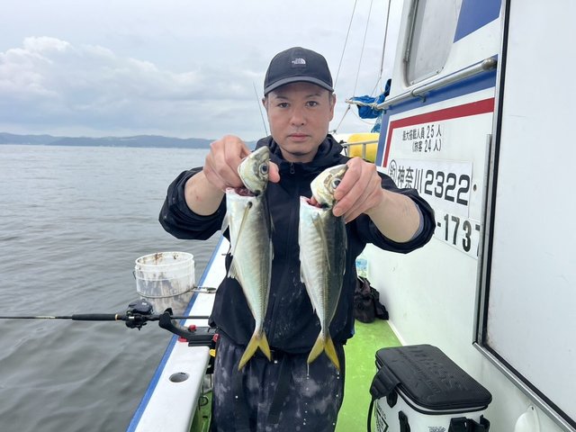 アジ(マアジ)