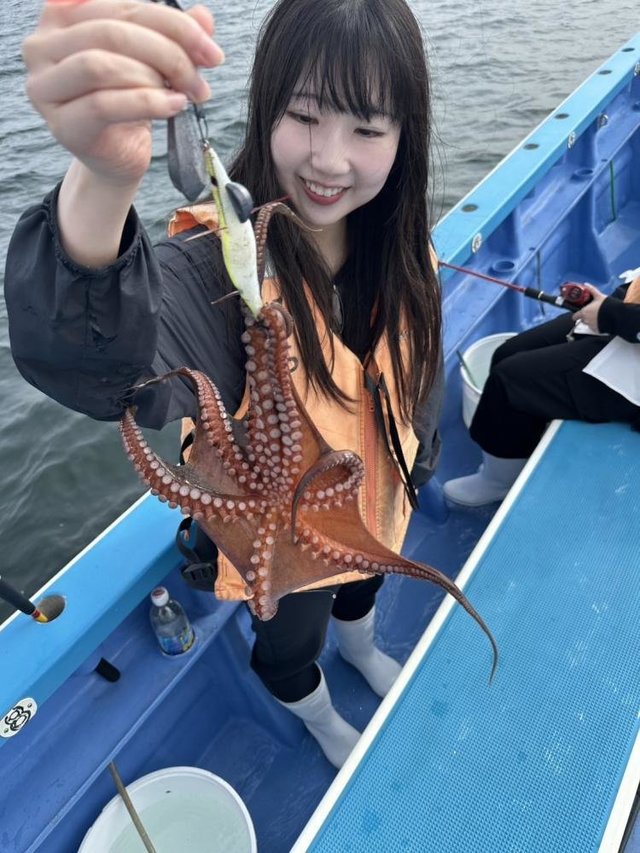マダコ