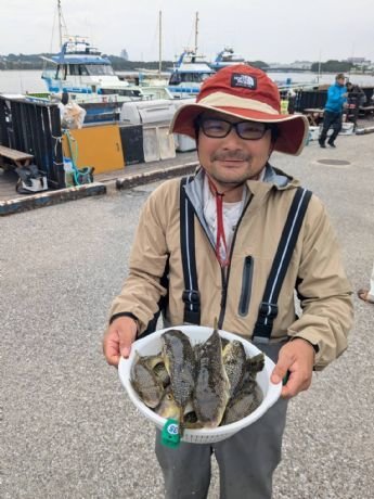 ショウサイフグ