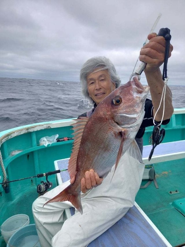 マダイ