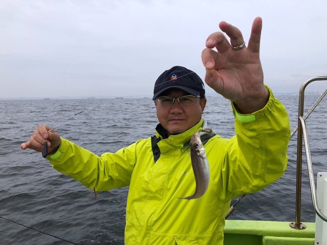 シロギス