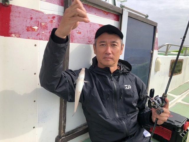 シロギス