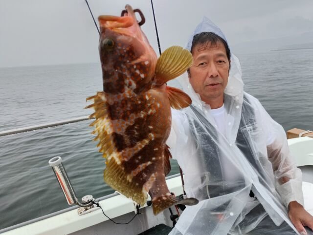 2026年6月最新】恵比寿丸（大阪府）の最新釣果情報