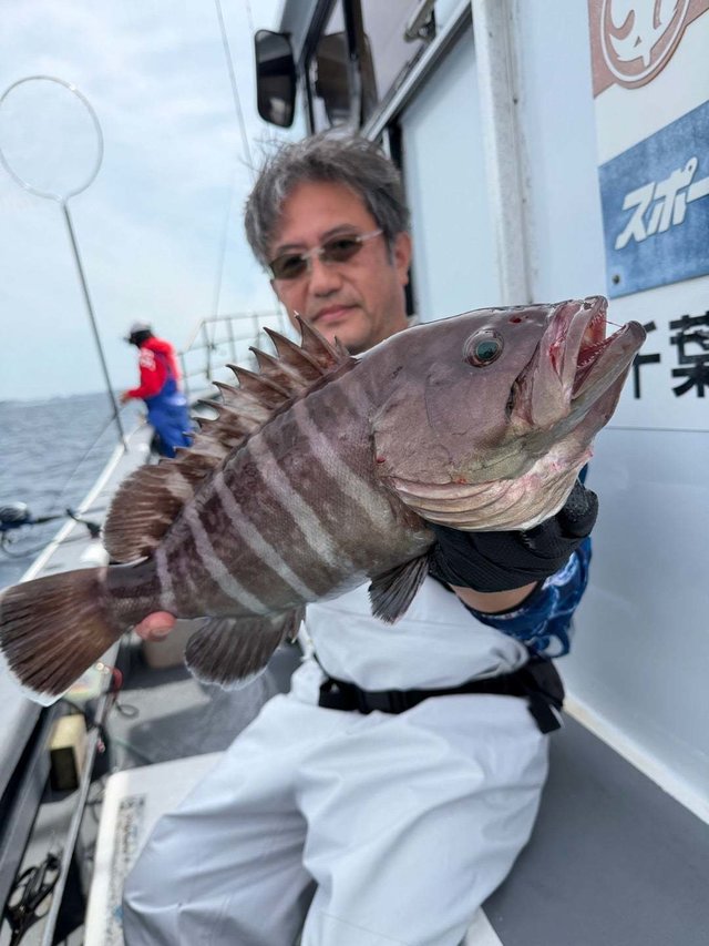 マハタ