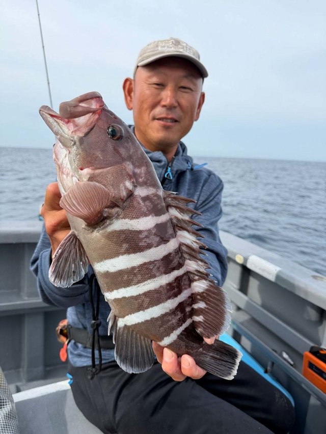マハタ