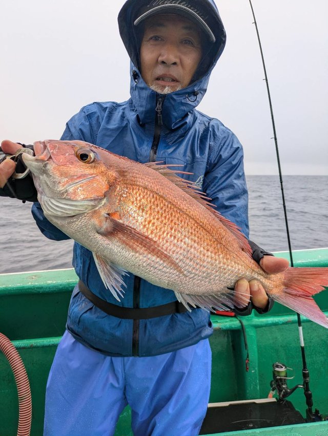 マダイ