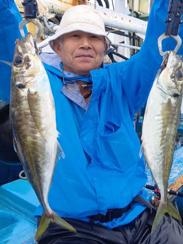 アジ(マアジ)