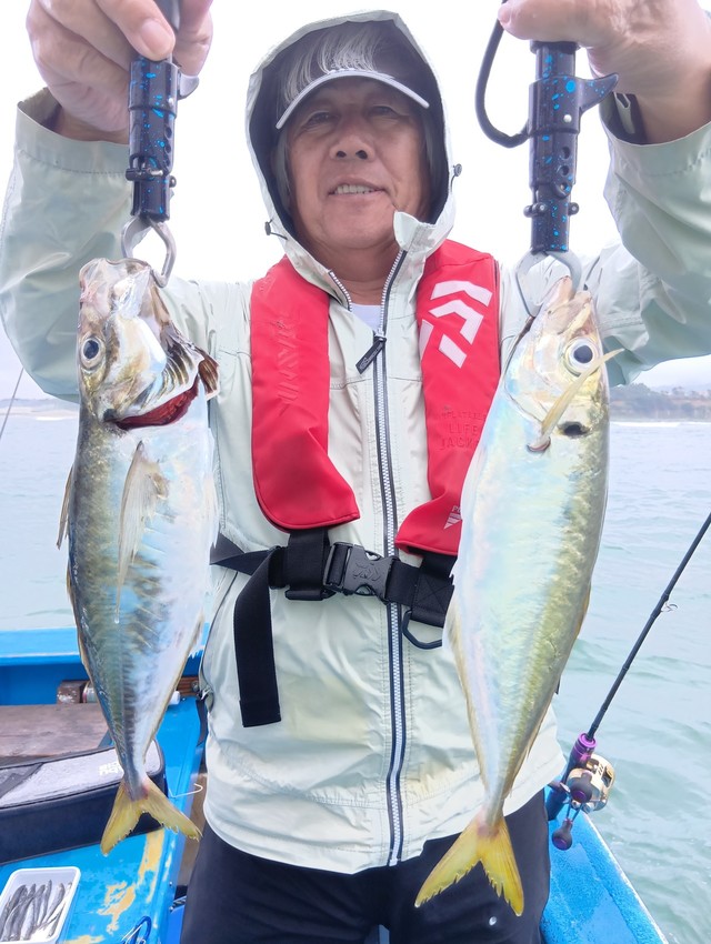 アジ(マアジ)