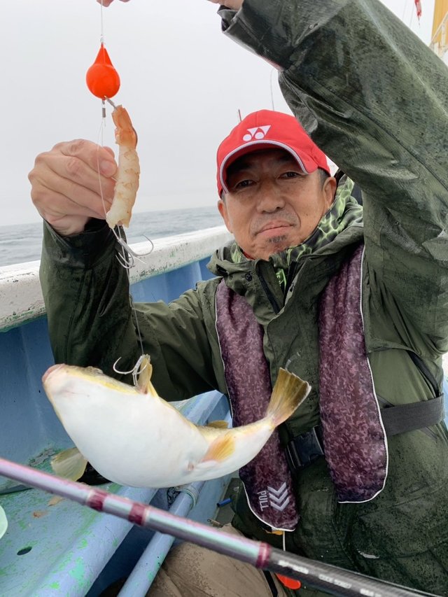 ショウサイフグ