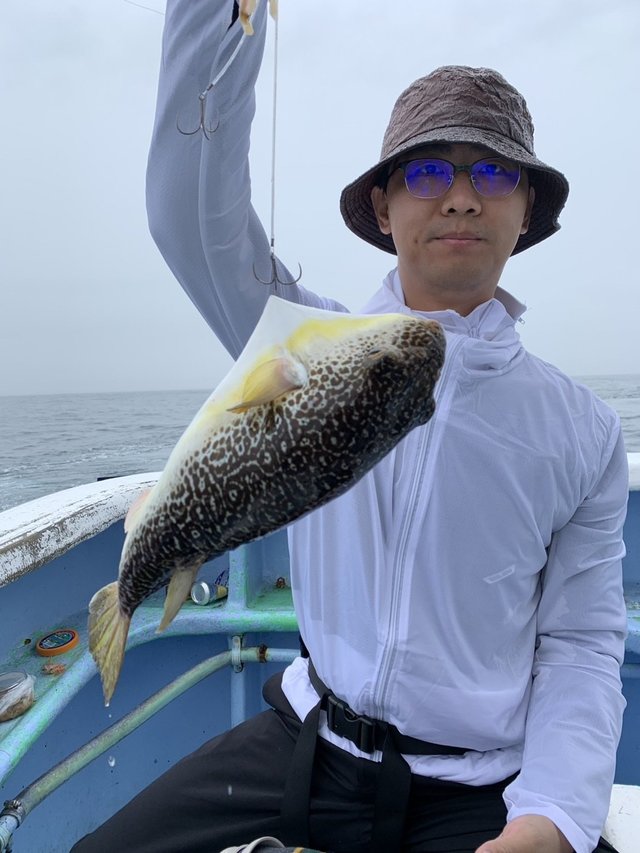 ショウサイフグ