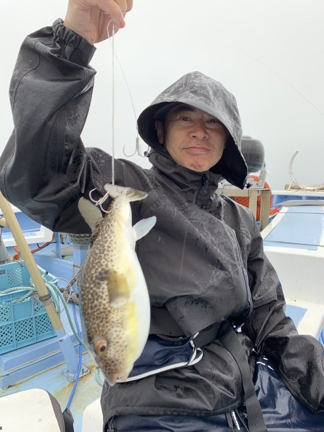 ショウサイフグ