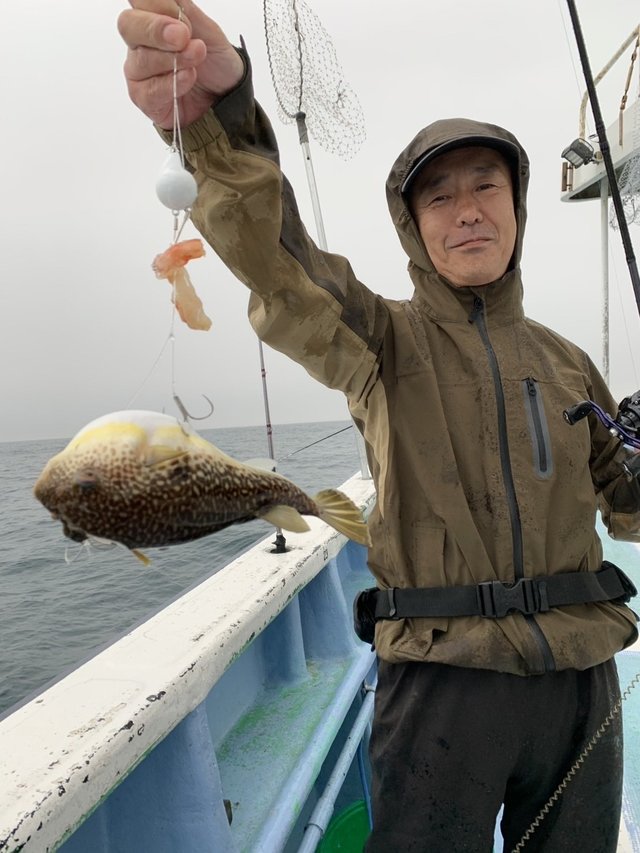 ショウサイフグ