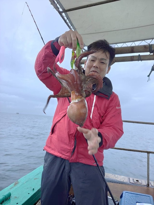 マダコ