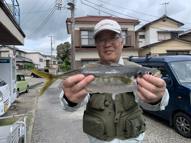アジ(マアジ)