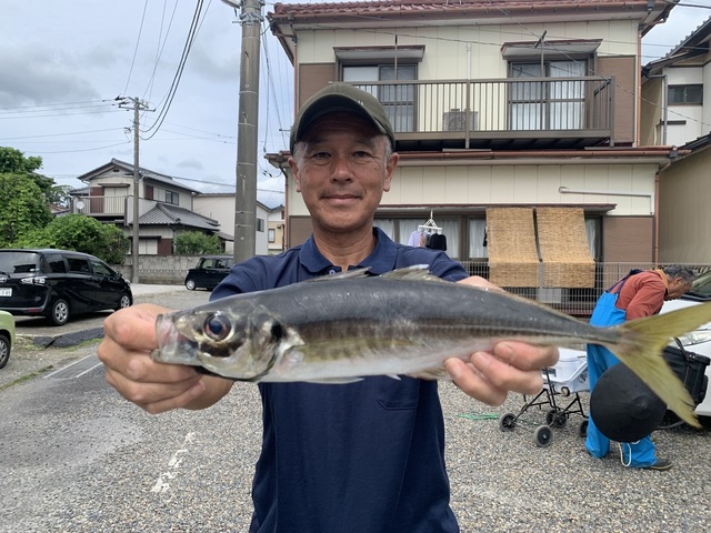 アジ(マアジ)