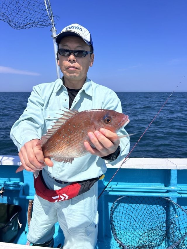 マダイ