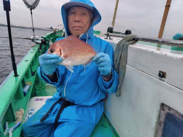 ハナダイ(チダイ)
