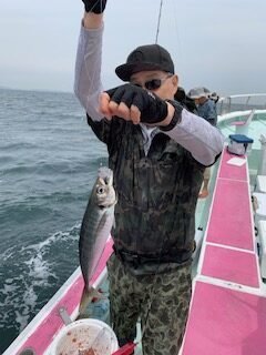 アジ(マアジ)