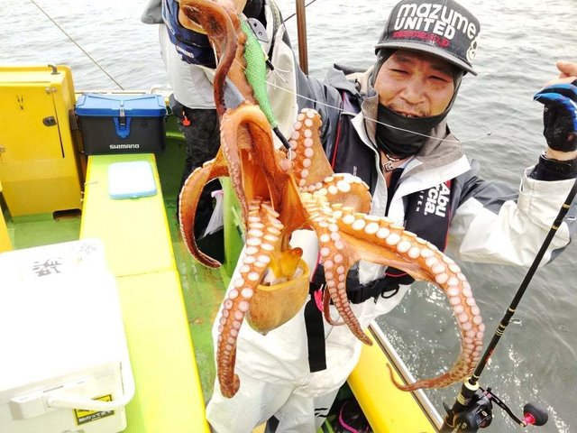 マダコ