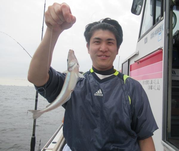 シロギス