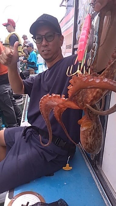 マダコ