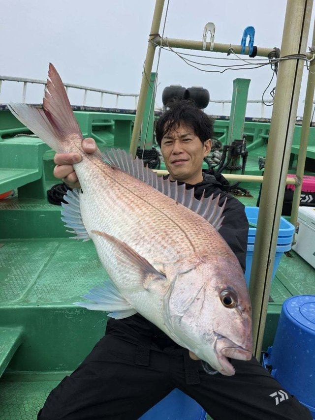 マダイ