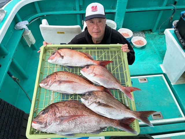 マダイ