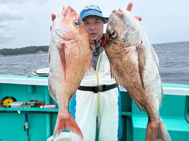 マダイ