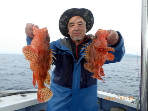 オニカサゴ