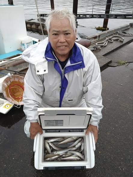 シロギス