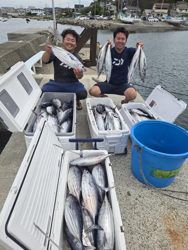 カツオ