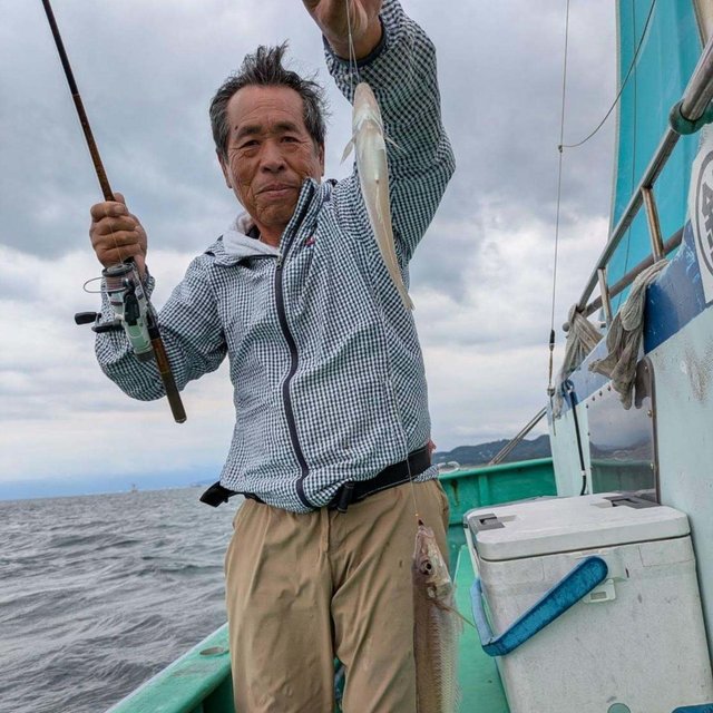 シロギス