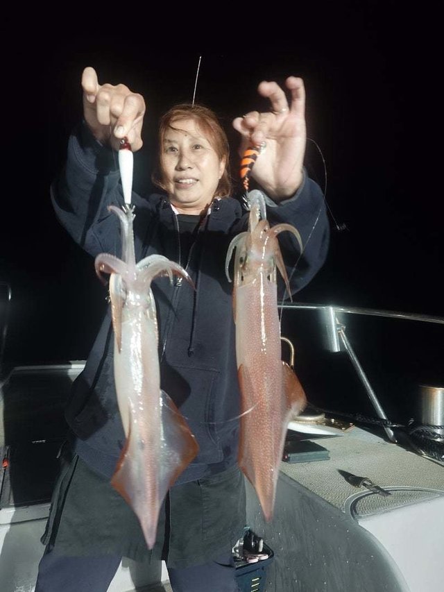 ケンサキイカ