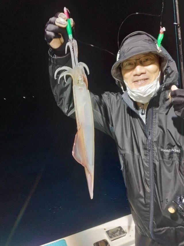 ヤリイカ