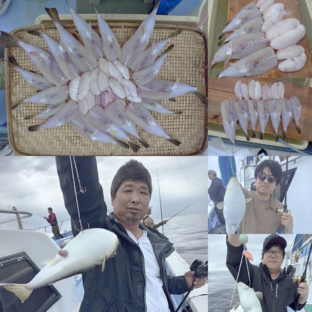 ショウサイフグ