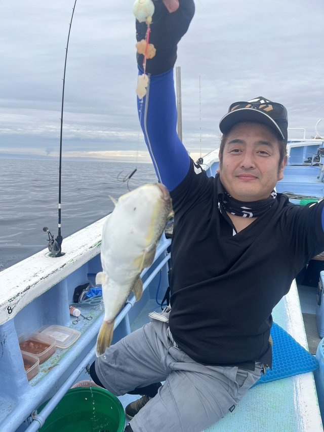 ショウサイフグ