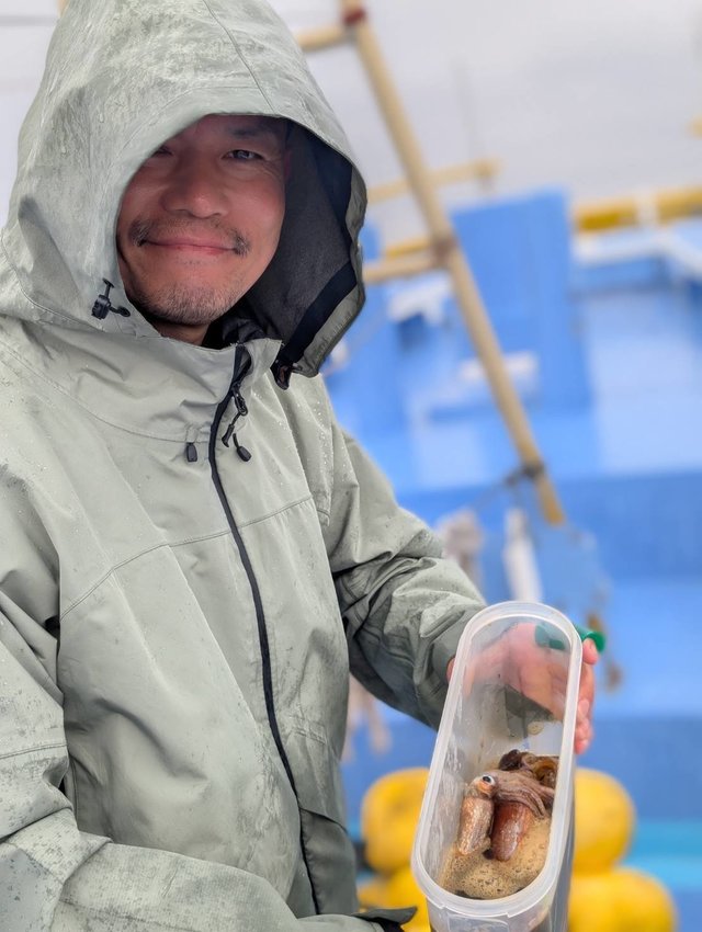 スルメ(スルメイカ)