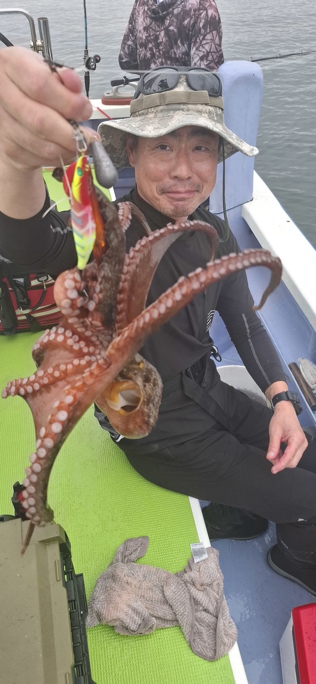タコ(マダコ)
